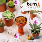 Табак Burn Cactus (Кактус) 100г Акцизный